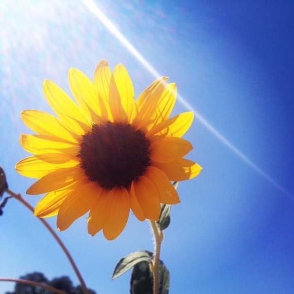 Meet your Posher, Casey - Picture 1 of 1